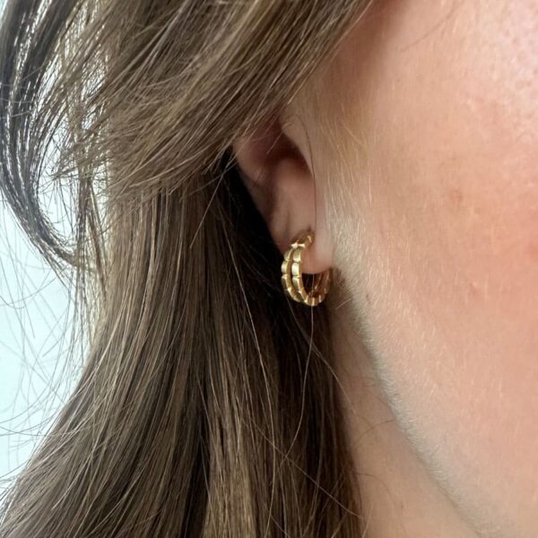 camu small double hoop earrings gold